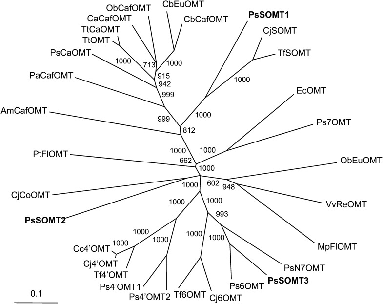 Figure 3.