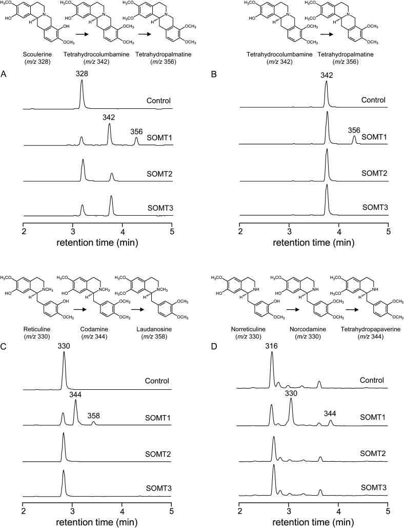 Figure 5.