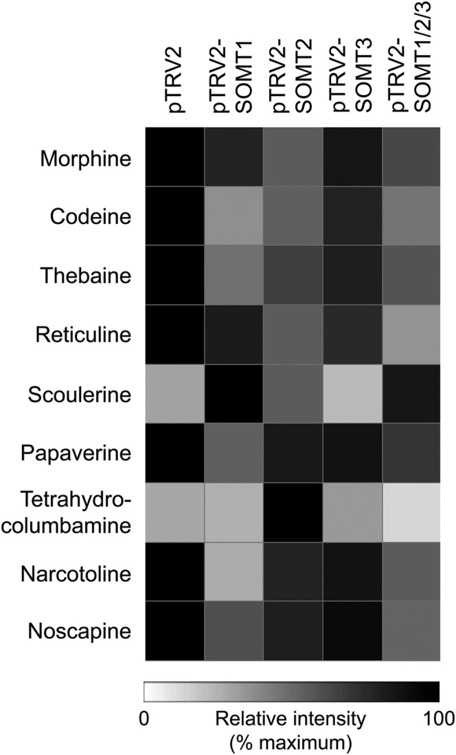 Figure 7.