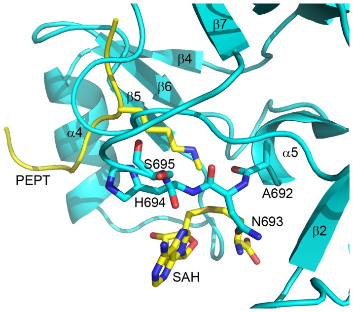 Figure 6