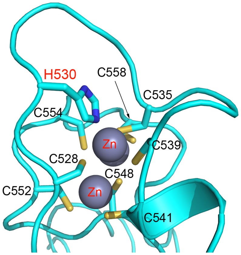 Figure 7