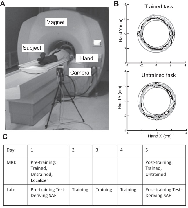 Fig. 1.