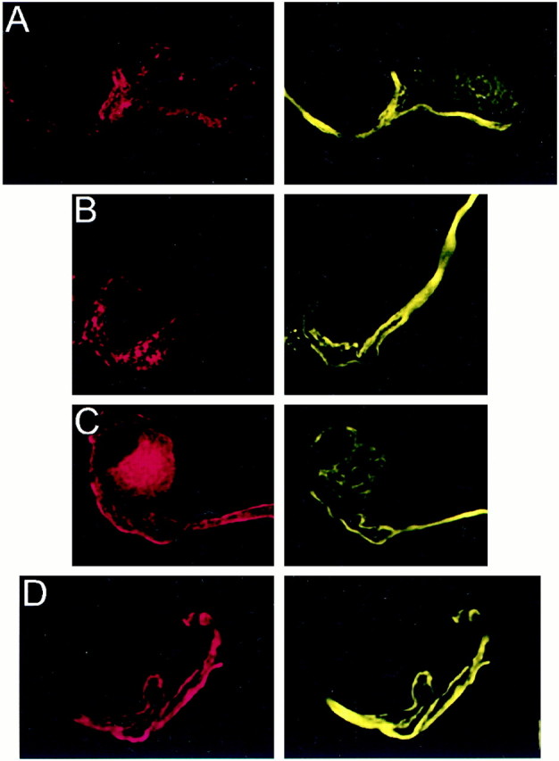 Fig. 9.