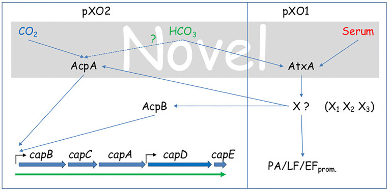 Fig 7