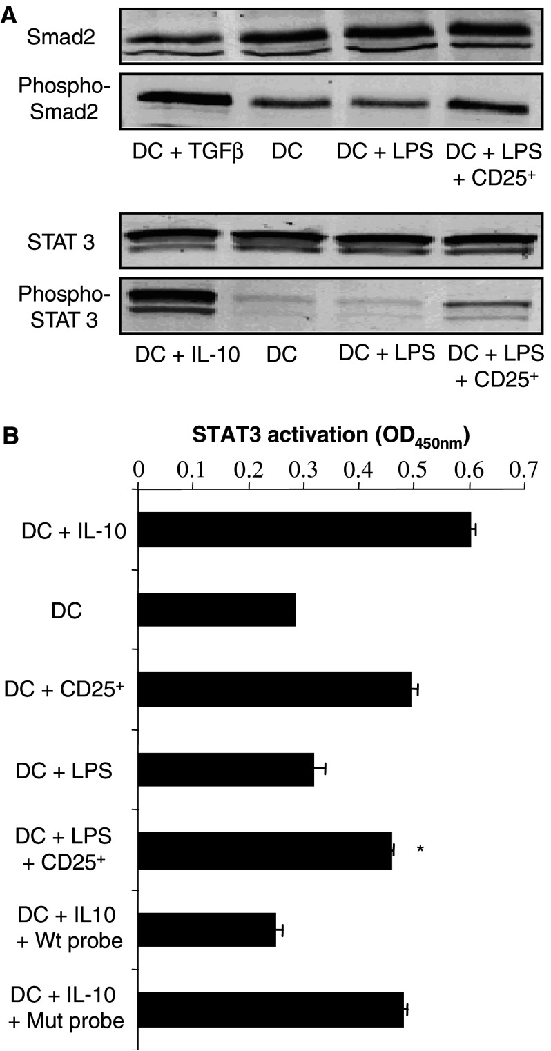 Fig. 5