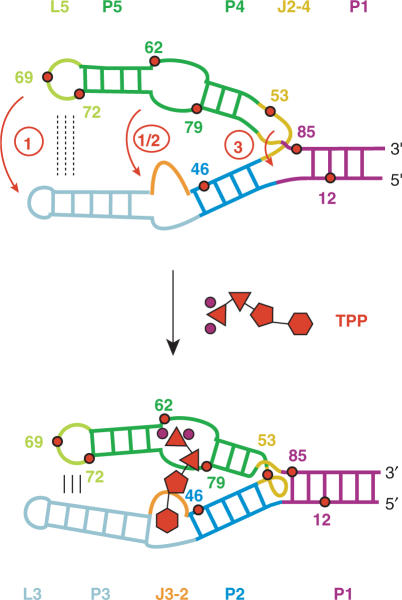 Figure 5.