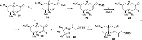 Scheme 5