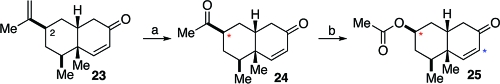 Scheme 4