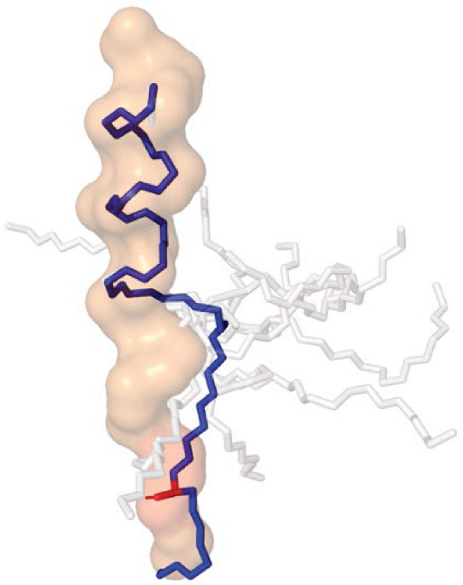 Figure 4: