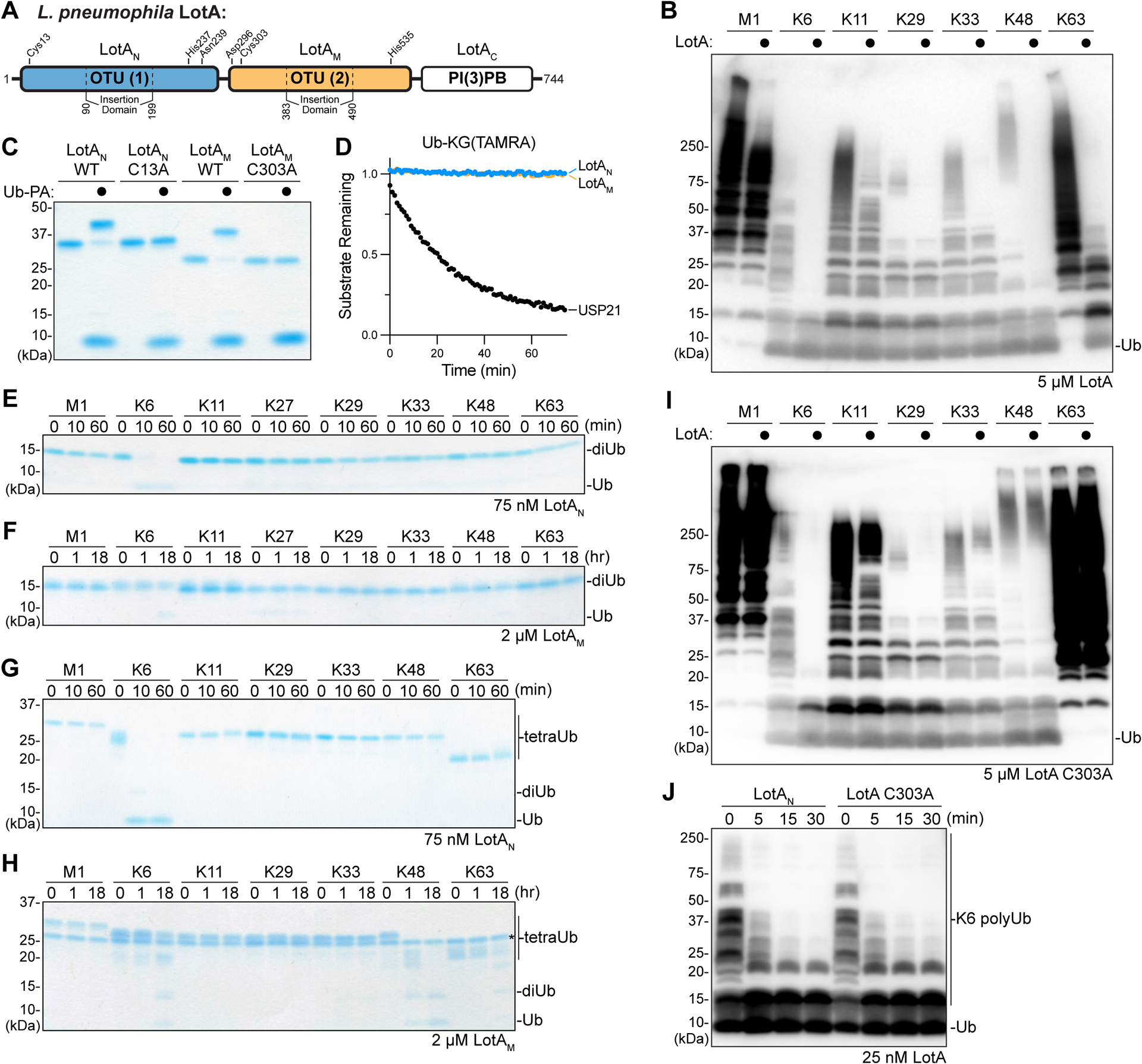 Figure 1: