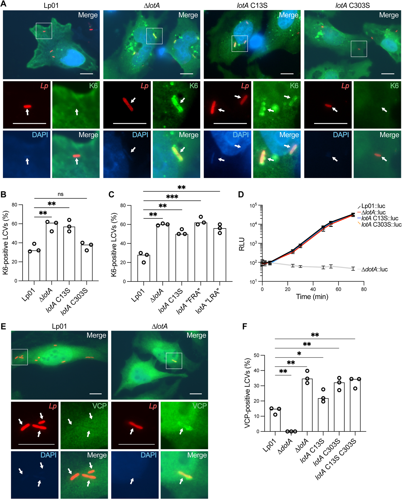 Figure 6: