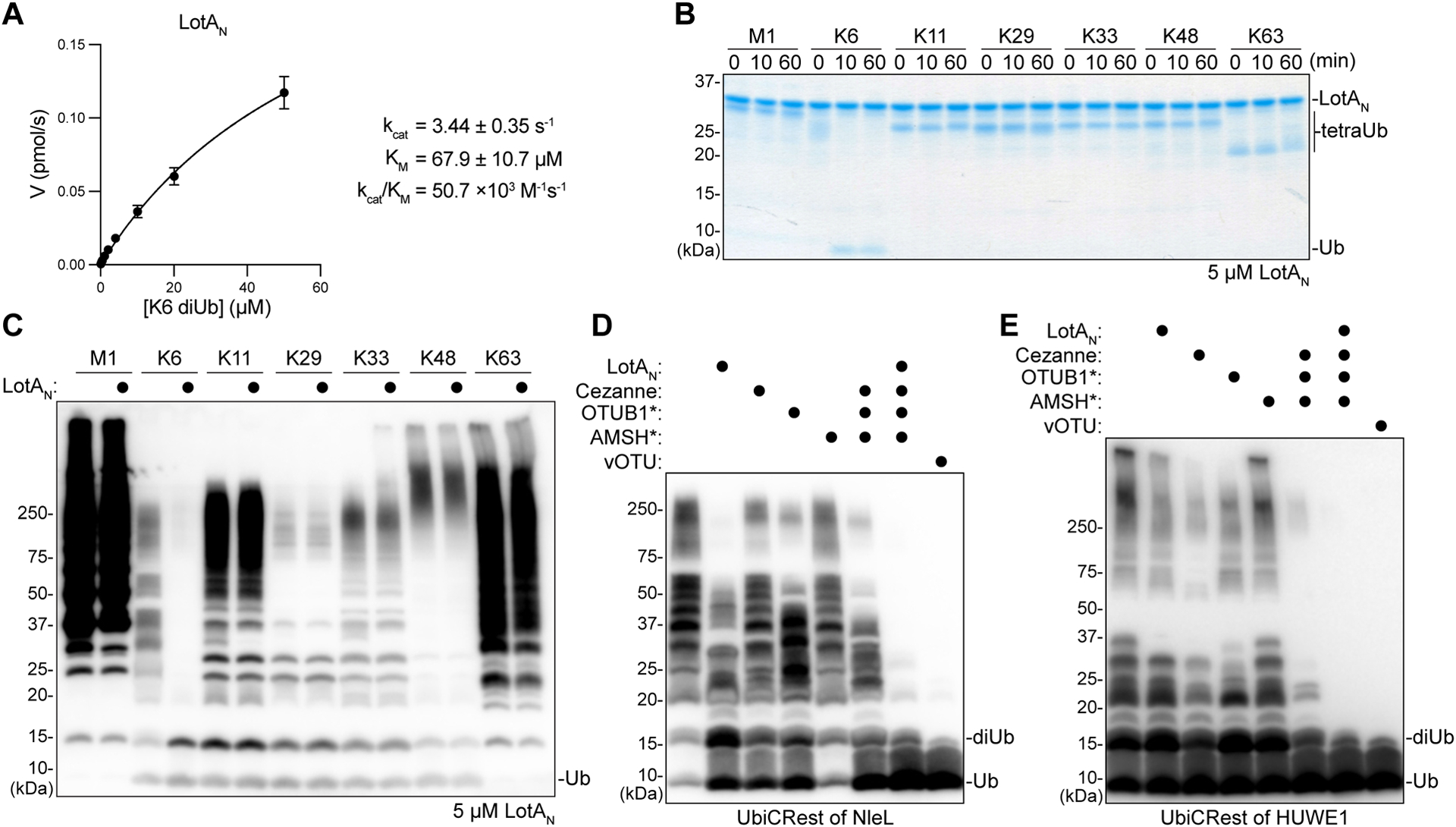 Figure 2: