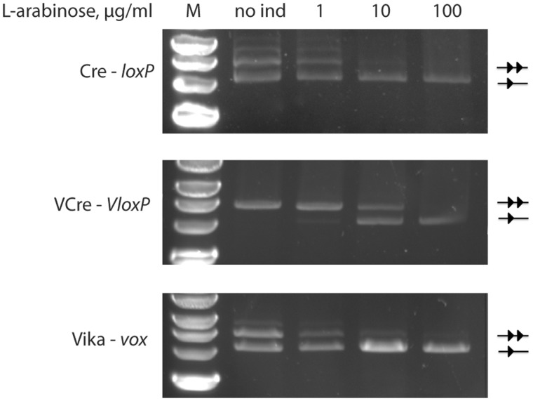 Figure 5.