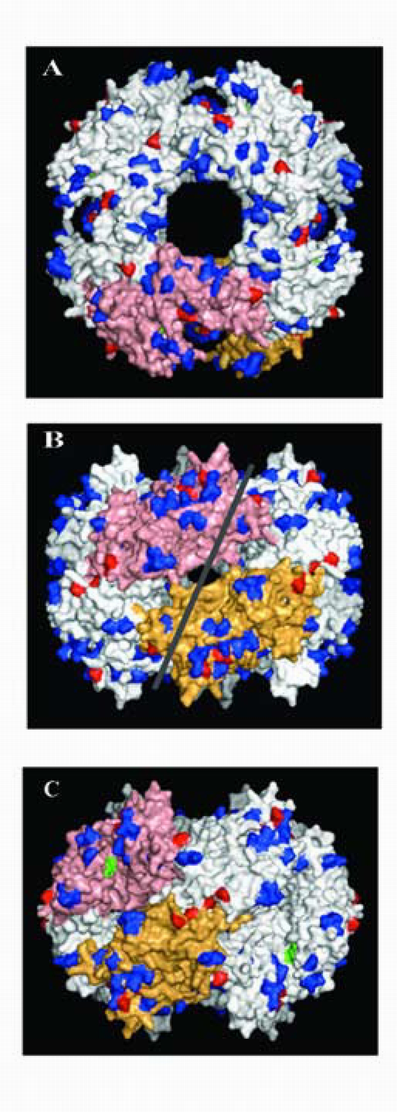 Figure 3.