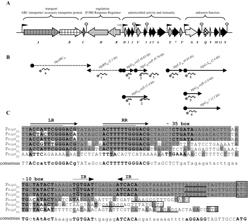 FIG. 4.