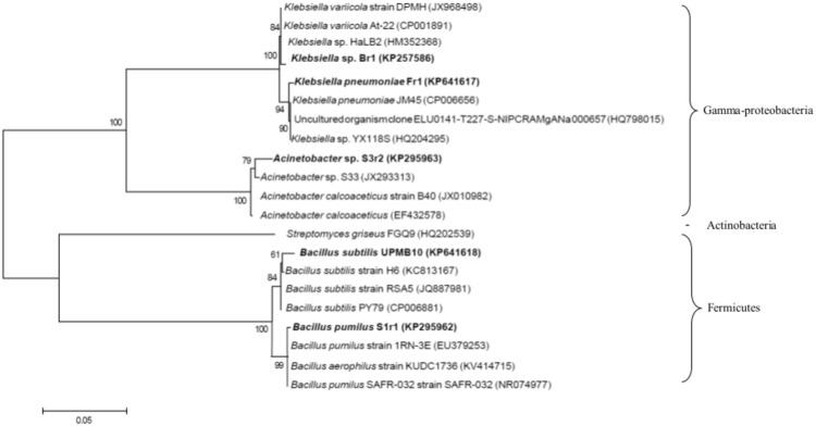 Fig 1