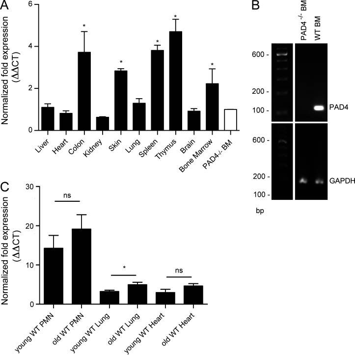 Figure 6.