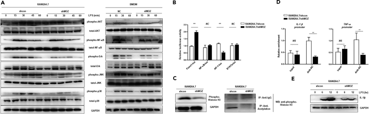 Figure 5