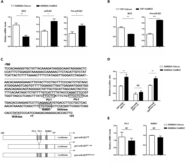 Figure 7