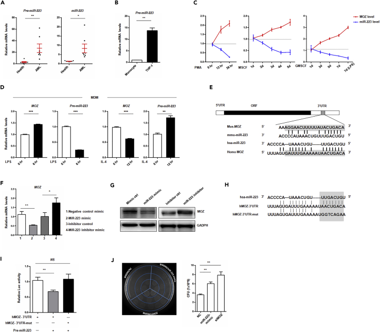 Figure 6