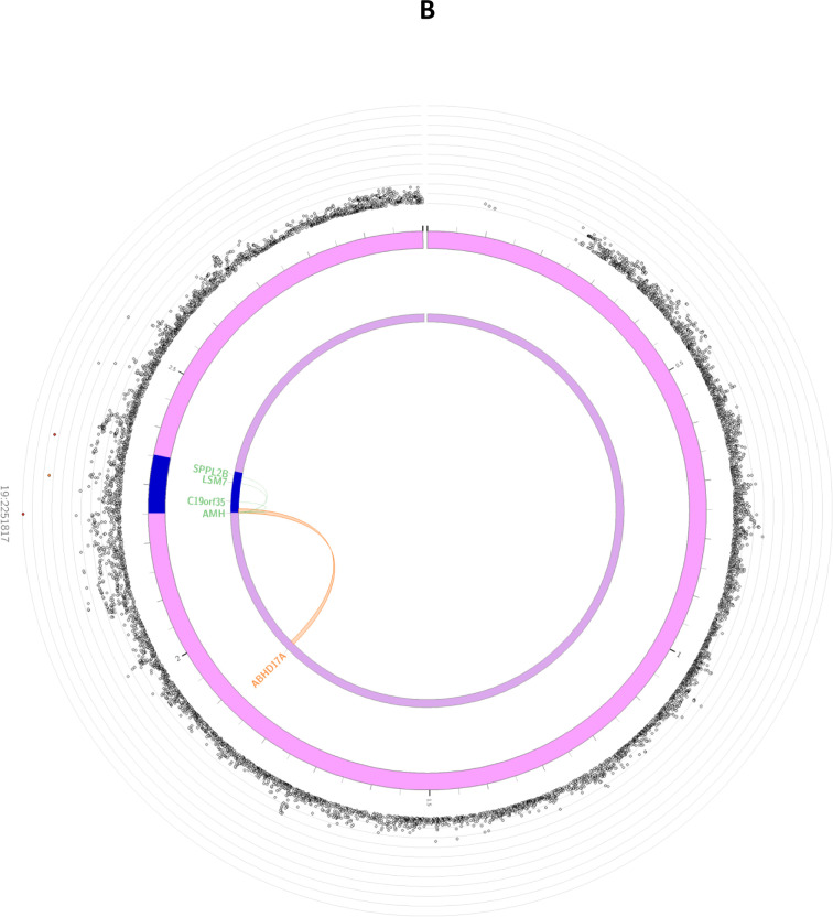 Figure 2: