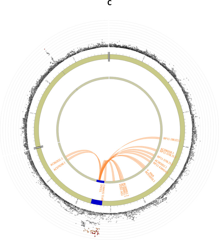 Figure 2: