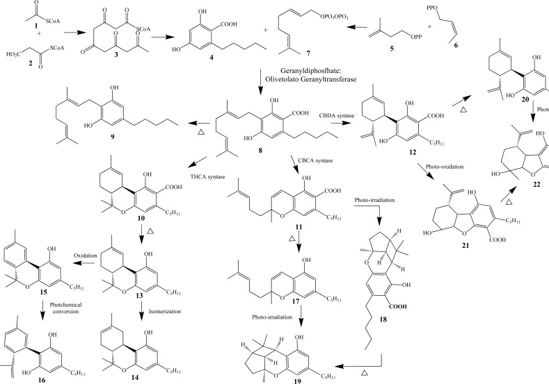 Fig. (3)