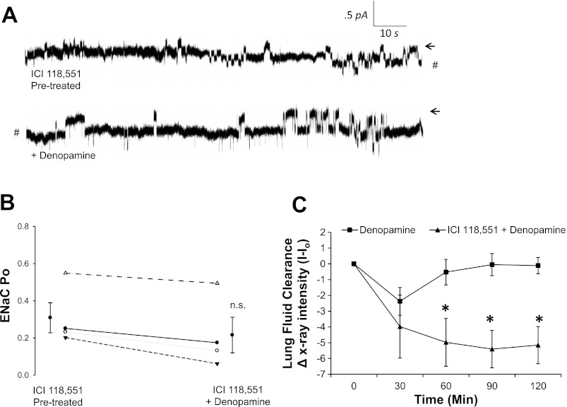 Fig. 9.