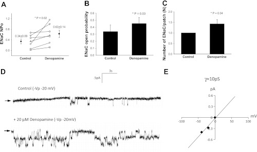 Fig. 3.