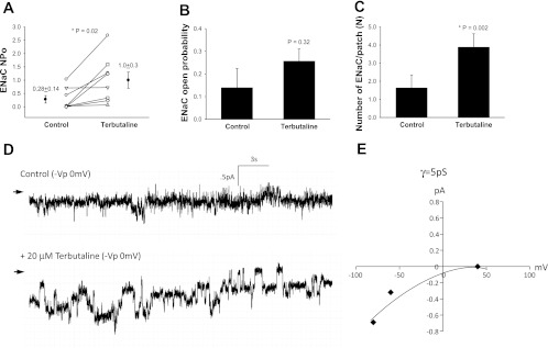 Fig. 2.