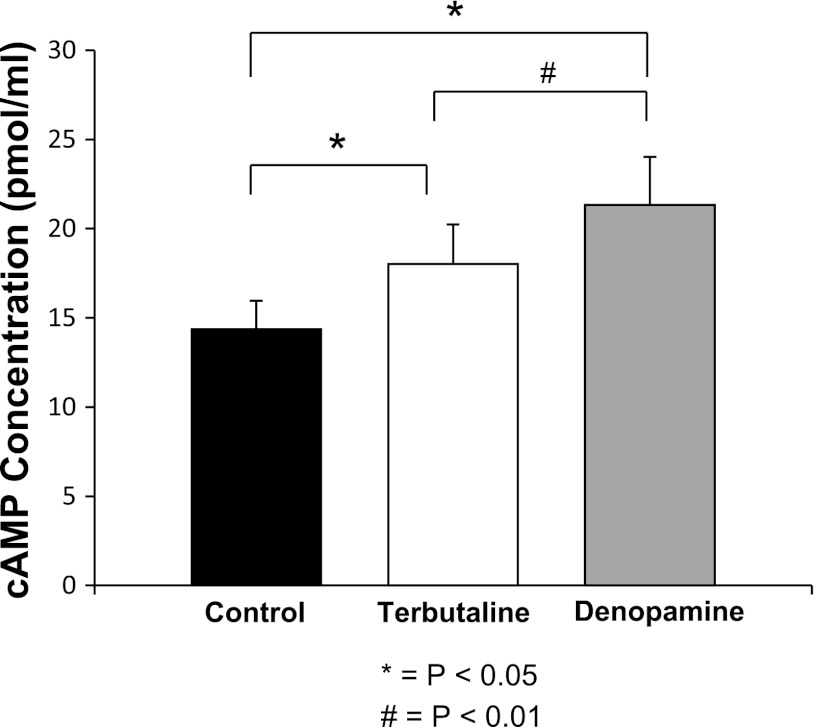 Fig. 10.