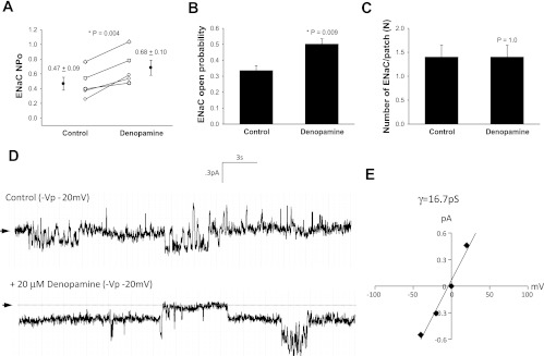 Fig. 4.