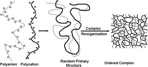 Fig. 9