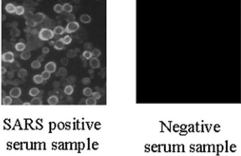 FIG.4.