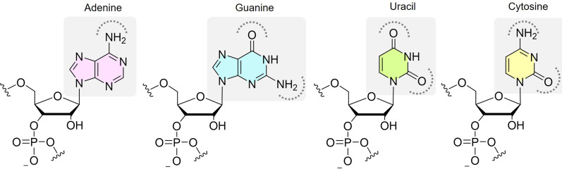 FIGURE 1.