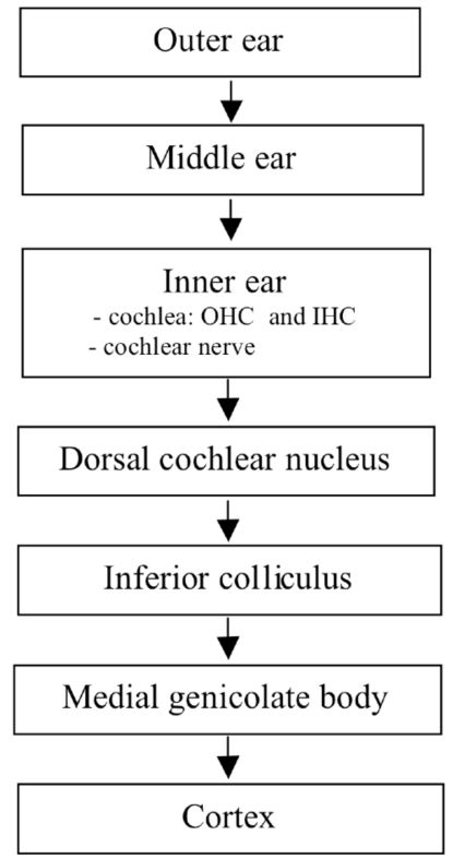 Fig. (1)