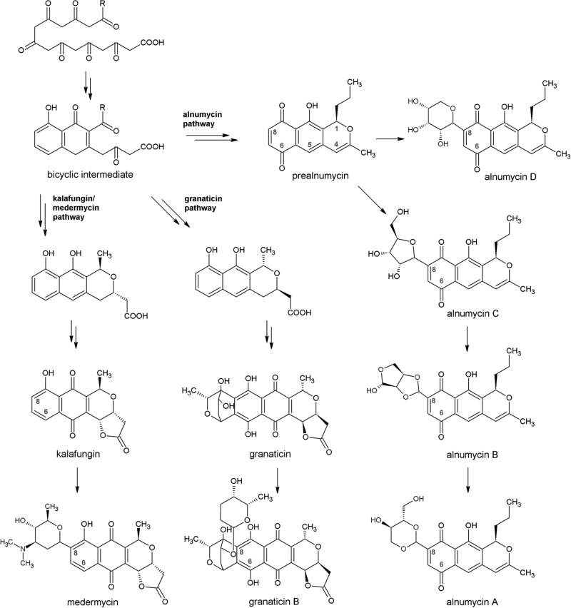 FIG 1