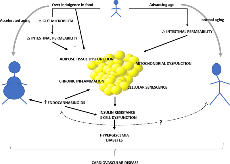 Figure 6: