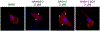 Figure 6.