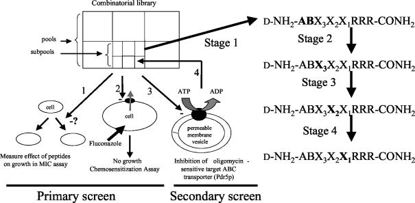 FIG. 1.