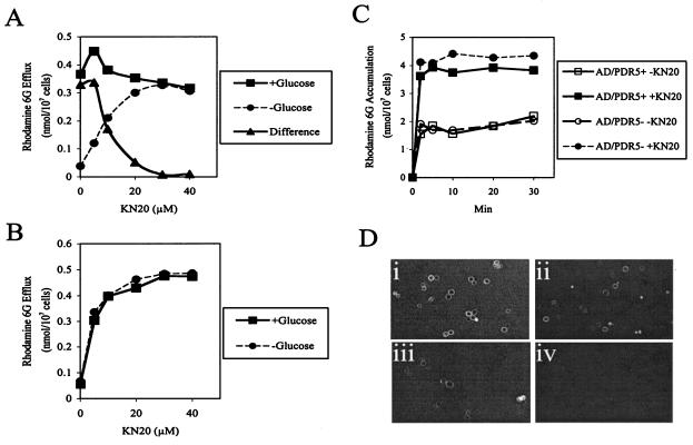 FIG. 10.