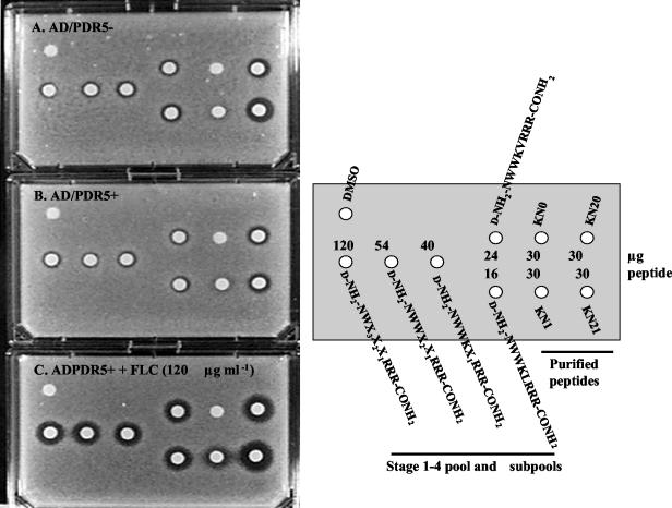 FIG. 6.