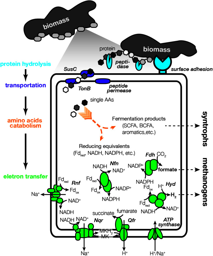 FIGURE 3