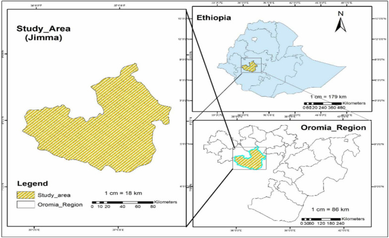 Fig. 1