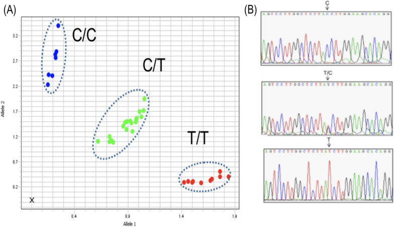 Fig. 2