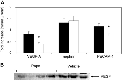 Figure 11.