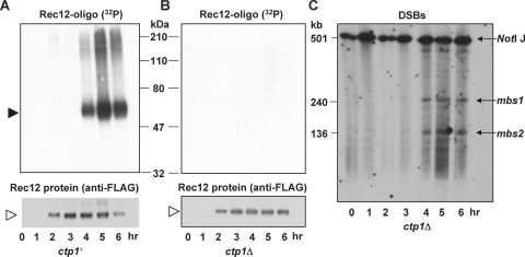 FIG. 7.