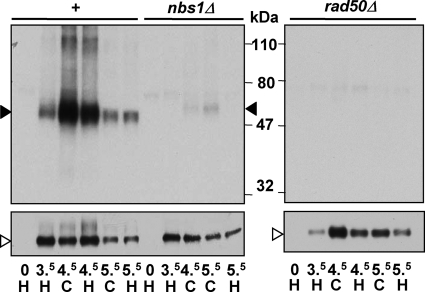 FIG. 9.