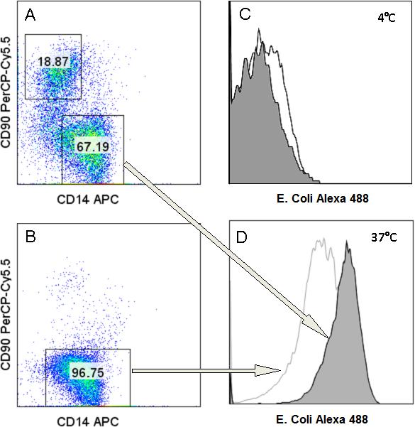 Figure-5