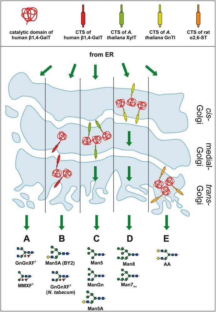 FIGURE 3